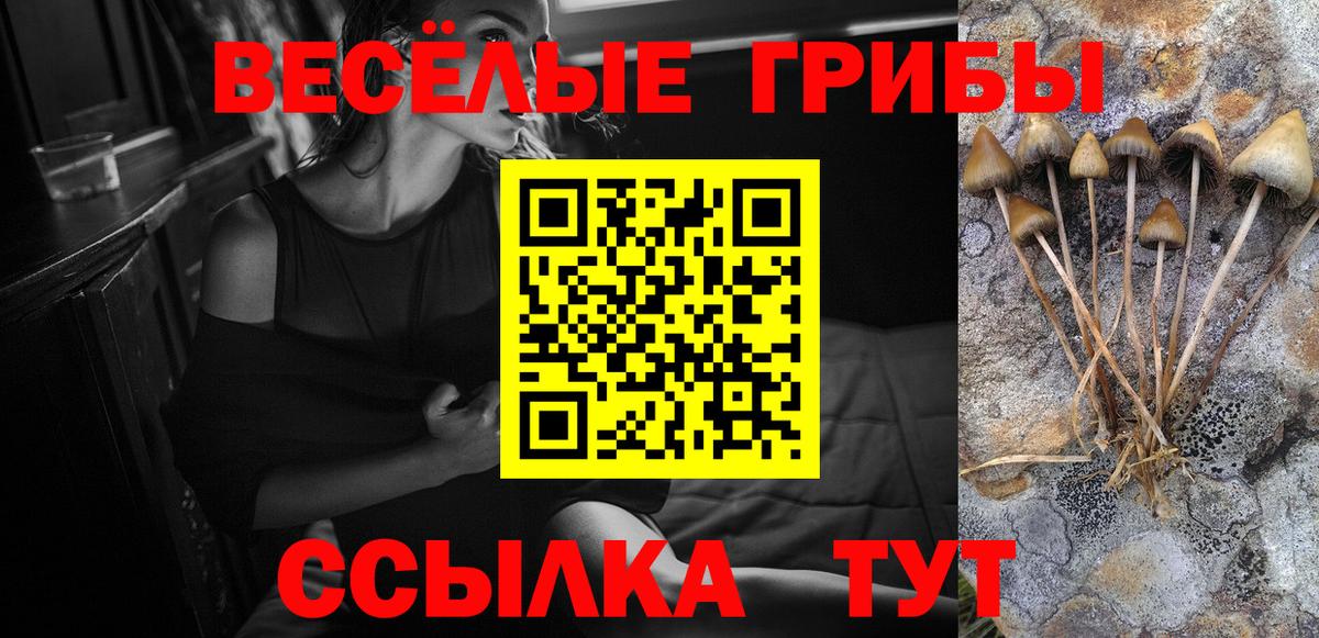 Галлюциногенные грибы MAGIC MUSHROOMS  Чапаевск 