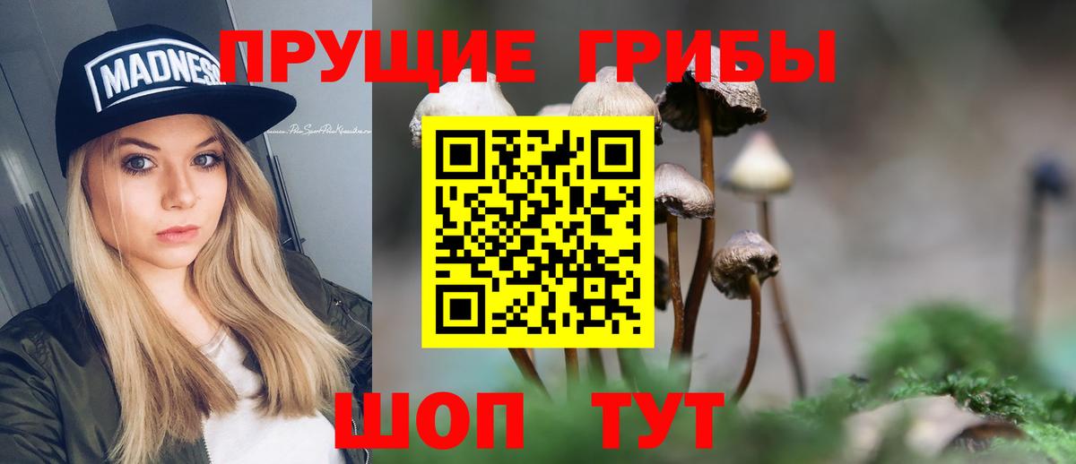 Псилоцибиновые грибы мухоморы Чапаевск